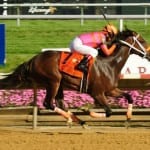 October’s Top Midlantic-bred Poll