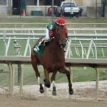 Laurel Park December stakes wagering guide released