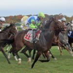 Breeders’ Cup: Breen, Calamity Kate accustomed outsiders