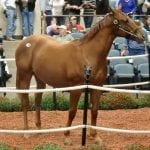 Pennsylvania takes step towards solving breeding snafu