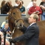 Laurel Park Pick 5: Stan Salter’s picks
