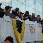 Hard luck Phlash Phelps aims for Turf repeat