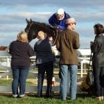 Region-bred yearlings power first day of Fasig-Tipton sale