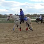 Trainer Butch Reid: Time for a “racing czar”