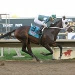 Podcast: Derby Bill ‘caps the weekend races