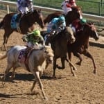 Laurel Park: Thanksgiving means carryovers and pies