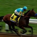 Number of mares bred in mid-Atlantic falls despite Maryland gains