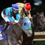 Indycott survives in Claiming Crown Preview feature