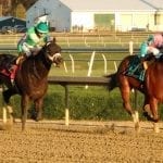Belle of the North rallies to Safely Kept win