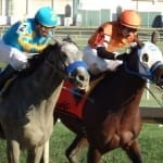 On tap: Weekend stakes