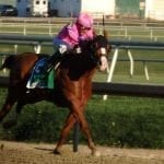 RMTC, NTRA promote test barn recommendations