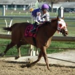 Hot City Girl cruises in Safely Kept