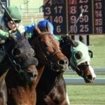 On tap: Weekend stakes