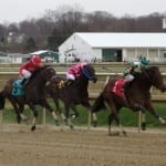 Look Who’s Talking takes Juvenile Filly Championship