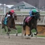 Tom Amoss aims for fourth straight Hilton win