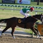 Cathryn Sophia named Top Midlantic-bred for 2016