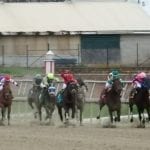 Favorite Tale, Bishop’s Pond impress in Laurel stakes