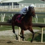 Big carryover in Laurel Park Rainbow 6