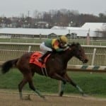 10 years since Barbaro, laminitis still a challenging foe