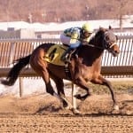 Top Midlantic-breds Sunny Ridge, Valid stumble