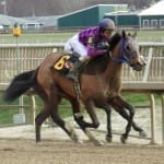 Maryland Jockey Club adopts injection reporting rule
