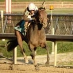 Cinco Charlie rediscovers winning ways