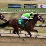 Never Gone South impresses in Whiteley win