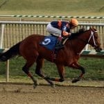 Laurel Park stakes draw 65 noms