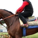 Application period for Thoroughbred Makeover opens