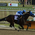 Maryland Racing Commission names medication policy committee