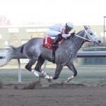 Midlantic-breds breeze for upcoming Crown preps