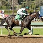 NJ-bred Irish War Cry gets nod as Belmont favorite