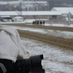 VIDEO: Previewing Laurel Park Christmastide stakes