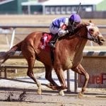 Page McKenney named Maryland-based Horse of the Year