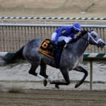 Heaven’s Runway looks for third straight in General George