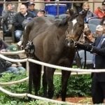 Laurel Park to hold fundraiser for Fray Martinez