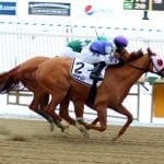 Cathryn Sophia named Top Midlantic-bred for 2016