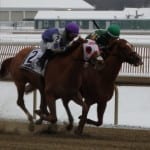 Marengo Road holds on for Miracle Wood win