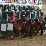 Still Having Fun takes Preakness step in Miracle Wood