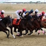 Pimlico to host $3.7 million in stakes