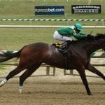 Fuzzy Muzzle posts Dan Horn victory
