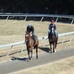 Post Time is Top Midlantic-bred of 2024