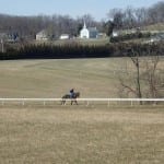 Pimlico picks and ponderings: September 17, 2022