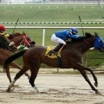 Yesterday and today: Racing highlights