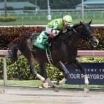 Michael Dickinson returns with a win, and a frown