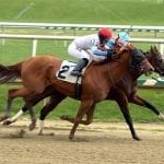 DQ gives A P Majetstic win — and Toledo one strange day