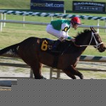 Never Gone South looks to stretch out in Tesio