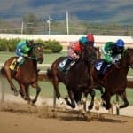 Five questions for this weekend’s Midlantic stakes