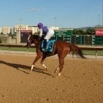 Timonium: Shimmering Aspen finds winning ways in Distaff