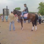 Monmouth Park set for exchange wagering